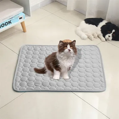 Pet Planet Tapis rafraîchissant pour chats et chiens