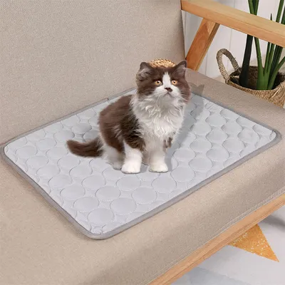 Pet Planet Tapis rafraîchissant pour chats et chiens