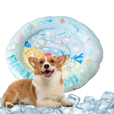 Lit Rafraîchissant pour Chiens - Tapis de Sommeil en Gel