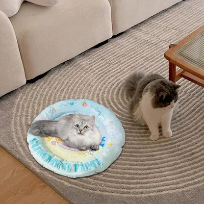 Lit Rafraîchissant pour Chiens - Tapis de Sommeil en Gel