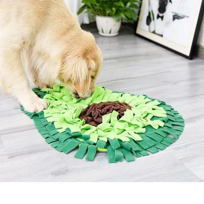 Petopia Tapis à renifler pour chien