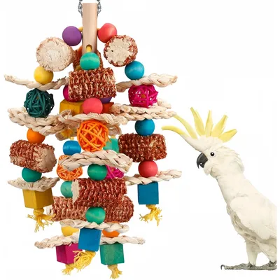 Pet Planet Perroquets Jouet en maïs naturel