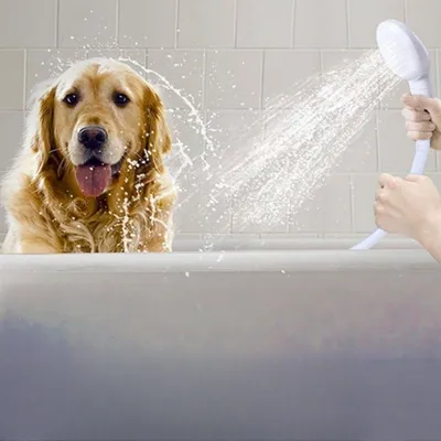 Petopia Pommeau de douche portable pour animaux