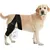Petopia Ceinture de soutien pour blessures aux pattes du chien Petopia Ceinture de soutien pour blessures aux pattes du chien