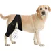 Petopia Ceinture de soutien pour blessures aux pattes du chien