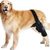 Petopia Ceinture de soutien pour blessures aux pattes du chien