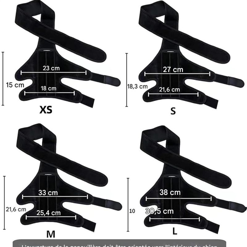 Petopia Ceinture de soutien pour blessures aux pattes du chien