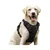Petopia Harnachement pour chien anti - traction réglable Petopia Harnachement pour chien anti - traction réglable
