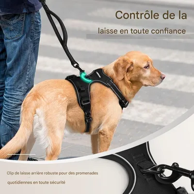Petopia Harnachement pour chien anti - traction réglable