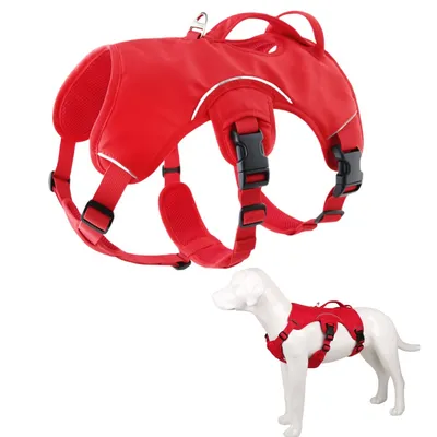 Pet Planet Harnais pour chien de sport de plein air Pet Planet Harnais pour chien de sport de plein air