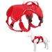 Pet Planet Harnais pour chien de sport de plein air