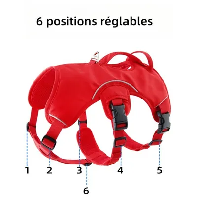 Pet Planet Harnais pour chien de sport de plein air