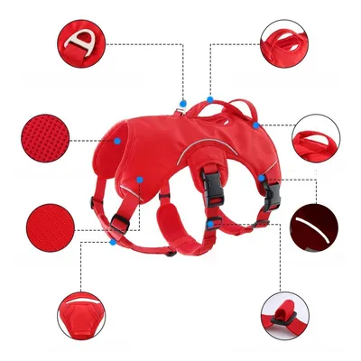 Pet Planet Harnais pour chien de sport de plein air