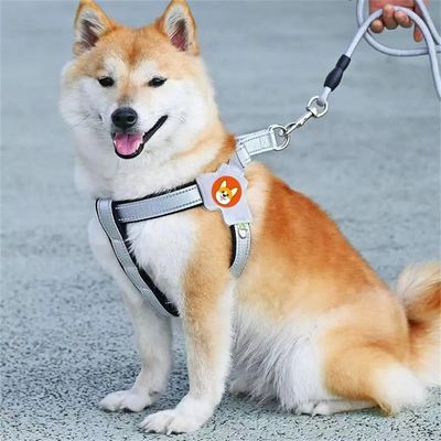 Pet Planet Harnachement et laisse pour chien