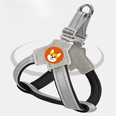 Pet Planet Harnachement et laisse pour chien