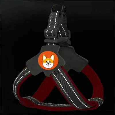 Pet Planet Harnachement et laisse pour chien