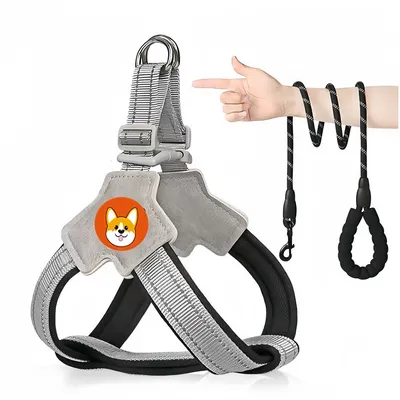 Pet Planet Harnachement et laisse pour chien Pet Planet Harnachement et laisse pour chien