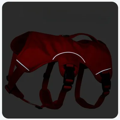 Pet Planet Harnais pour chien de sport de plein air