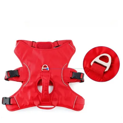 Pet Planet Harnais pour chien de sport de plein air