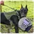 Pet Planet Gilet tactique anti sauts pour chien