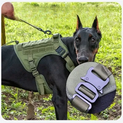 Pet Planet Gilet tactique anti sauts pour chien