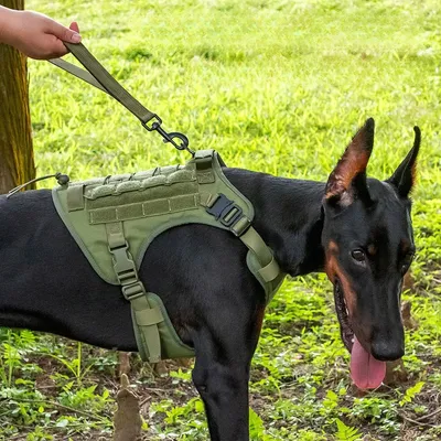 Pet Planet Chaleco táctico anti-saltos para perros