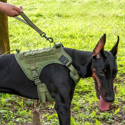 Pet Planet Gilet tactique anti sauts pour chien