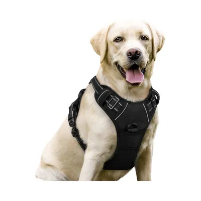 Petopia Harnachement pour chien anti - traction réglable