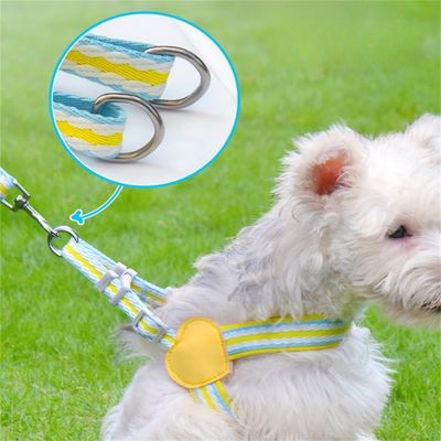 Pet Planet Harnachement et Laisse pour Chien en Forme de Gilet