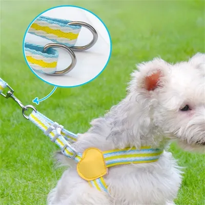 Pet Planet Harnachement et Laisse pour Chien en Forme de Gilet