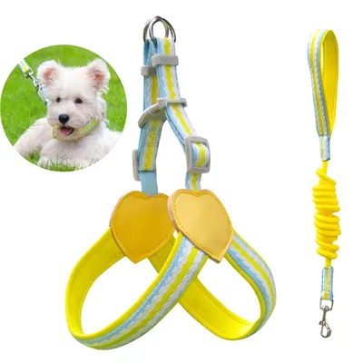 Pet Planet Arnés y correa para perros con forma de chaleco