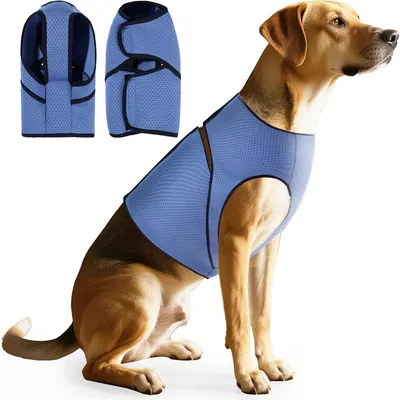 Pet Planet Gilet anti anxiété pour chien Pet Planet Gilet anti anxiété pour chien