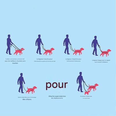 Petopia  Corde de traction double usage pour chien noir