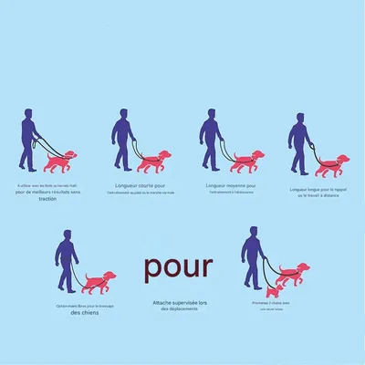 Petopia  Corde de traction double usage pour chien noir