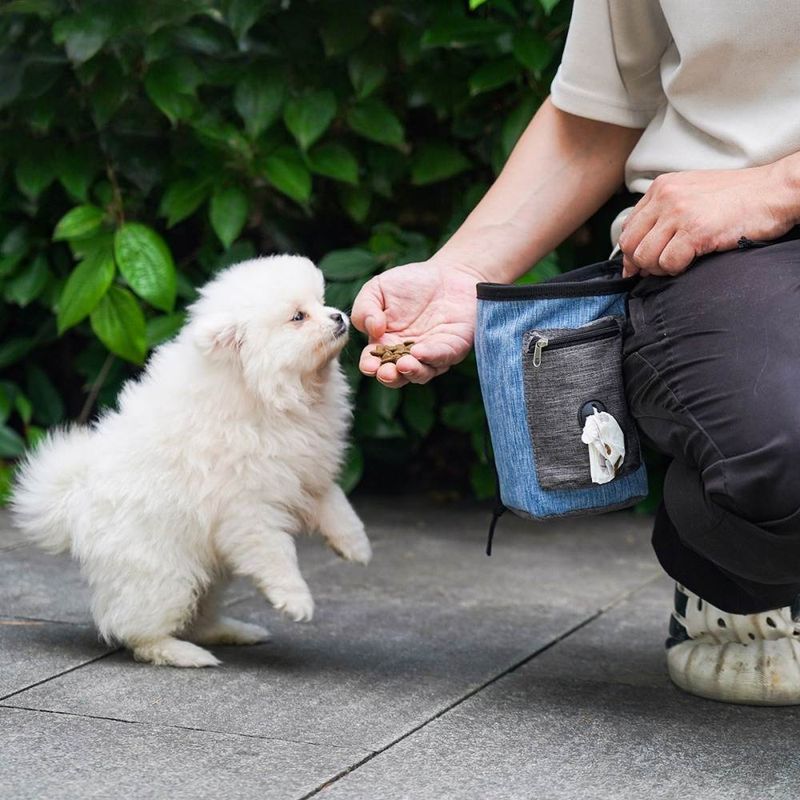 Petopia Sac de dressage pour animaux
