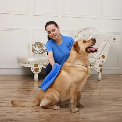 FurryFusion Serviette imprimée pour chat et chien