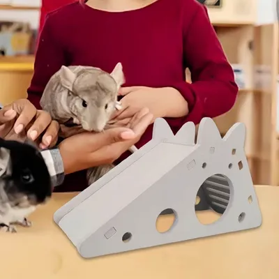 Petopia Jouet coulissant