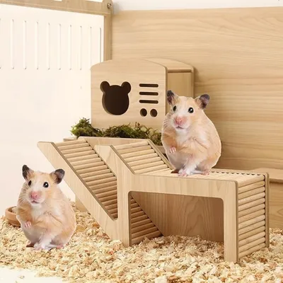 Pet Planet Hamsters Cachette en bois