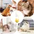 Petopia Jouet interactif pour chat