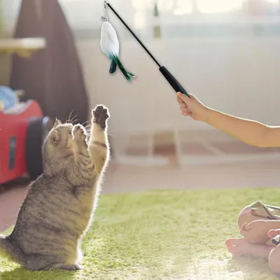 Pet Planet Chats Jouet bâton rétractable