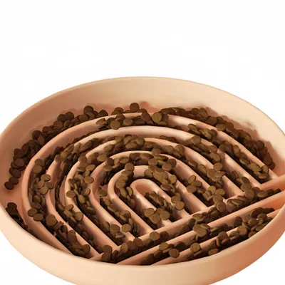 Petopia Gamelle à alimentation lente pour chien