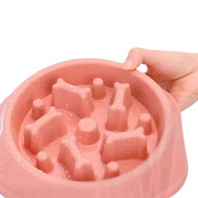 Petopia Gamelle anti - vandalisme pour chien et chat