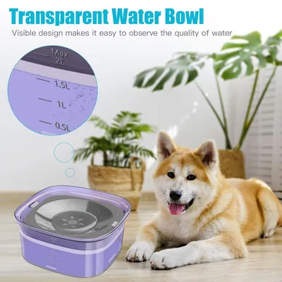 PurrfectFun Bol d'eau pour chien et chat - 2L