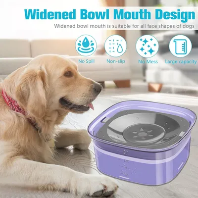 PurrfectFun Bol d'eau pour chien et chat - 2L