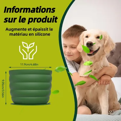 ZooVenture Alimentation Saine Gamelles Slow Food Pour Chien