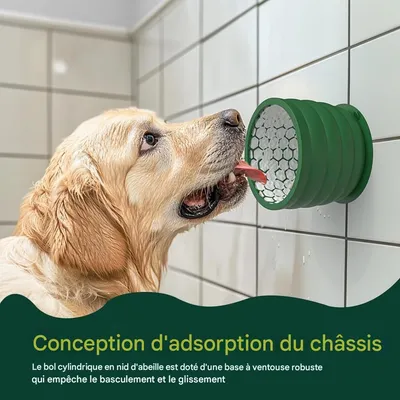 Pet Planet Comida sana, comida lenta, cuencos para perros