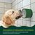ZooVenture Alimentation Saine Gamelles Slow Food Pour Chien