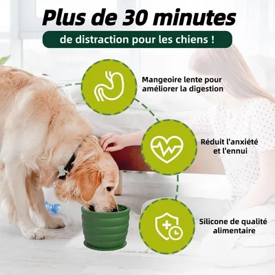 Pet Planet Comida sana, comida lenta, cuencos para perros