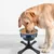 Petopia Support de gamelle surélevée réglable pour chien