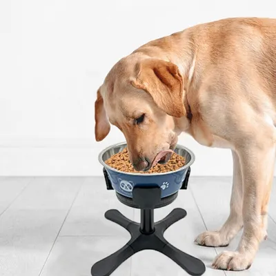 Petopia Support de gamelle surélevée réglable pour chien